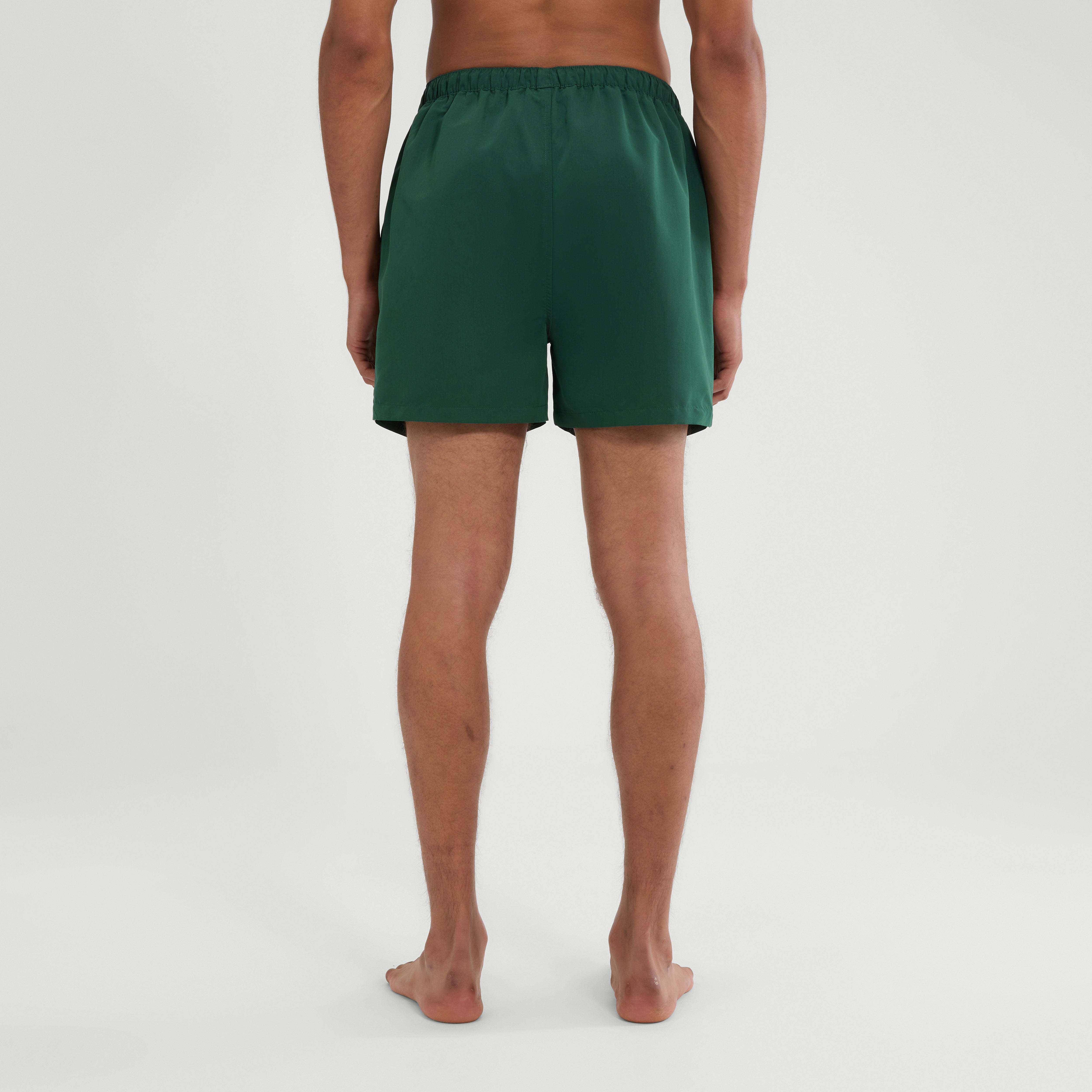 Ellesse Slackers Shorts Green